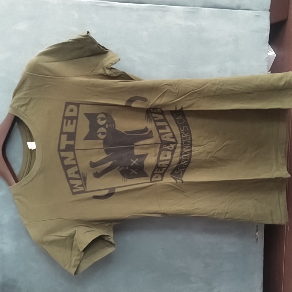 Bella bella-canvas cat t-shirt